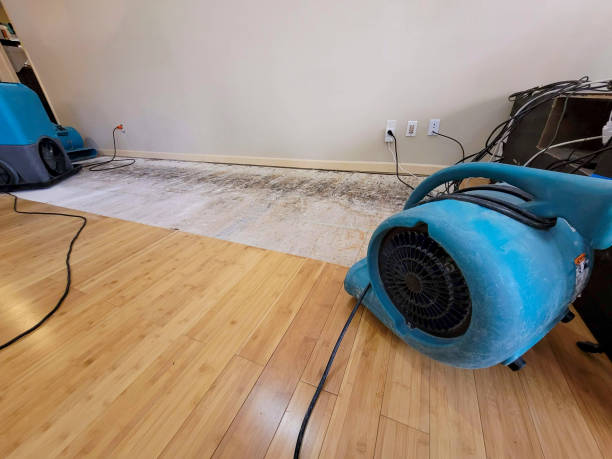 Professional Flood Damage Cleanup technician working in Lynchburg, MS